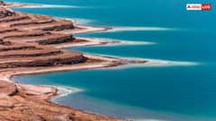 क्या होता है Dead Sea, आखिर क्यों नहीं पनप सकता वहां कोई जीवन?