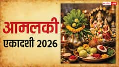 Amalaki Ekadashi 2026: आमलकी एकादशी पर करें पीले चंदन, तुलसी और शंख का उपाय, चमकेगा भाग्य