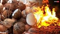 Holika Dahan 2026: घर खरीदने में आ रही है दिक्कत, तो होलिका दहन पर करें जौ का ये उपाय