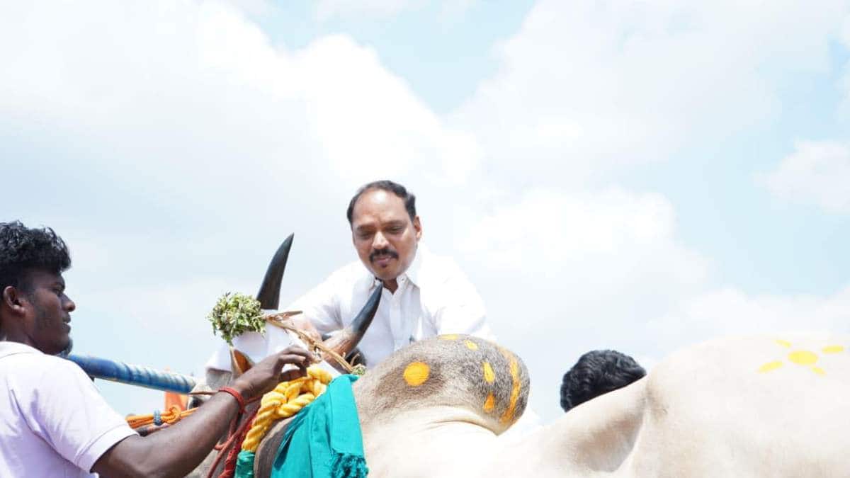 புதுக்கோட்டை திமுக எம்.எல்.ஏ முத்துராஜா