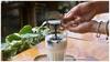 Global Milk Tea Culture: మిల్క్ టీని భారత్‌లో మాత్రమే తాగుతారా? వేరే దేశాల్లో ఏం చేస్తారు? గాడిద పాలతో టీ తాగే దేశం ఏదీ?