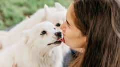 UK Sepsis Case: ক্ষতে জিভ বুলিয়ে দিয়েছিল পোষ্য, আদর পরিণত হল অভিশাপে, দুই হাত ও দুই পা বাদ গেল মহিলার