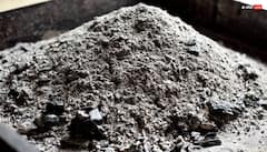 Holika Dahan 2026 Upay: होलिका दहन की राख है बड़े काम की, इसके 5 उपाय तुरंत दिखाते हैं असर