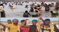 Madurai ; மேலூர் அருகே பாரம்பரிய மீன்பிடி திருவிழா: நாட்டு மீன்கள் குவிந்தன.. விவசாயம் செழிக்குமா?
