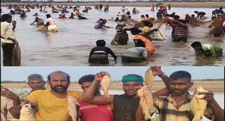Madurai ; மேலூர் அருகே பாரம்பரிய மீன்பிடி திருவிழா: நாட்டு மீன்கள் குவிந்தன.. விவசாயம் செழிக்குமா?