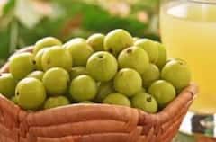 આમળાનું સેવન આ લોકો માટે ફાયદાને બદલે નુકસાનકારક, જાણો કોણે ન ખાવા જોઈએ