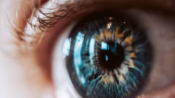 শোওয়ার সময়ই যা ব্যবহার। তাই বালিশ নিয়ে বেশি মাথা ঘামাতে নারাজ আমরা। কিন্তু কোন বালিশে মাথা রেখে ঘুমাচ্ছেন, তার উপর নির্ভর করে দৃষ্টিশক্তিও।