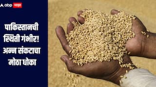 पाकिस्तानची स्थिती गंभीर! अन्न संकटाचा मोठा धोका, अहवालातून धक्कादायक माहिती समोर  