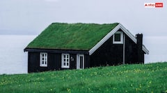 Wooden Houses in USA: अमेरिका में लकड़ी के क्यों बने होते हैं ज्यादातर घर, जानें भारत में क्यों नहीं होता ऐसा?