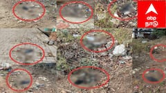 மதுரையில் காகங்கள் உயிரிழப்பு ; சுகாதாரத்துறை எச்சரிக்கை.. உடனடியாக கவனிக்க வேண்டியது என்ன?