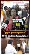 ”திமுக தாய்க்கழகமா? தாய்மையை அசிங்கப்படுத்தாதீங்க” OPS-ஐ விளாசிய தமிழிசை