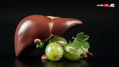 লিভারের সুরক্ষায় আয়ুর্বেদ, কীভাবে প্রমাণ ভিত্তিক ওষুধ আপনার জীবন বাঁচায়