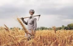 ਇਨ੍ਹਾਂ ਲੋਕਾਂ ਨੂੰ ਨਹੀਂ ਮਿਲੇਗੀ ਪੀਐਮ ਕਿਸਾਨ ਯੋਜਨਾ ਦੀ 22ਵੀਂ ਕਿਸ਼ਤ, ਇਦਾਂ ਚੈੱਕ ਕਰੋ ਆਪਣਾ ਨਾਮ