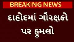 Dahod news: સુરત જિલ્લા બાદ દાહોદમાં પશુઓને બચાવવા માટે ગયેલ ગૌરક્ષકો પર કરાયો જીવલેણ હુમલો