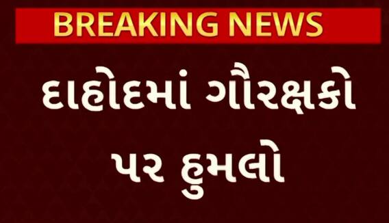 Dahod news: સુરત જિલ્લા બાદ દાહોદમાં પશુઓને બચાવવા માટે ગયેલ ગૌરક્ષકો પર કરાયો જીવલેણ હુમલો
