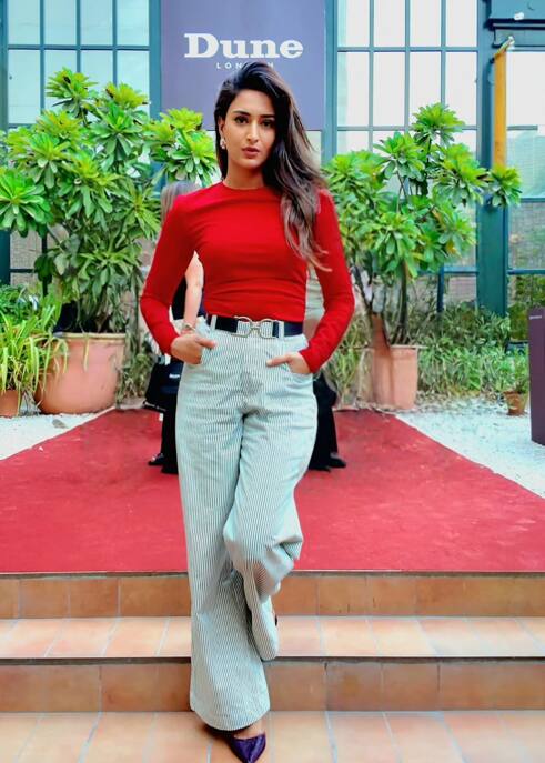 एरिका बेशक किसी टीवी शो में नजर नहीं आती हैं. लेकिन, सोशल मीडिया पर एक्टिव करती हैं. इंस्टाग्राम पर उनके 4.4 मिलियन फॉलोवर्स हैं.