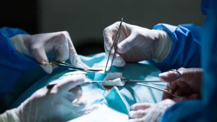 মা হতে IVF পদ্ধতিকেই বেছে নেন গ্রেসি। লন্ডনের লিস্টার ফার্টিলিটি ক্লিনিকে ভ্রূণ প্রতিস্থাপন করা হয় তাঁর শরীরে। চলতি বছরের গোডায় শেষ পর্যন্ত মা হন গ্রেসি। জন্ম নেয় তাঁর ছেলে হিউগো।