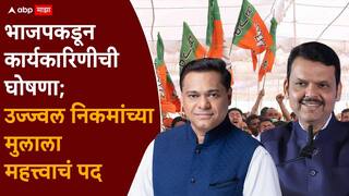BJP Working Committee: राज्यसभा निवडणुकीच्या धामधुमीत भाजपकडून कार्यकारिणीची घोषणा, उज्ज्वल निकमांच्या मुलावर मोठी जबाबदारी