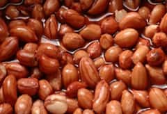 એક મુઠ્ઠી પલાળેલી મગફળી સ્વાસ્થ્યને આપશે ગજબના ફાયદા, જાણો સેવન કરવાથી શું થશે