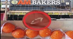 கட்சி நிகழ்ச்சியில் லட்டு சாப்பிட்டவருக்கு அதிர்ச்சி.. கண்ணாடி துகள்கள் சிக்கியதால் பரபரப்பு - பேக்கரிக்கு ரைடுவிட்ட அதிகாரிகள் !