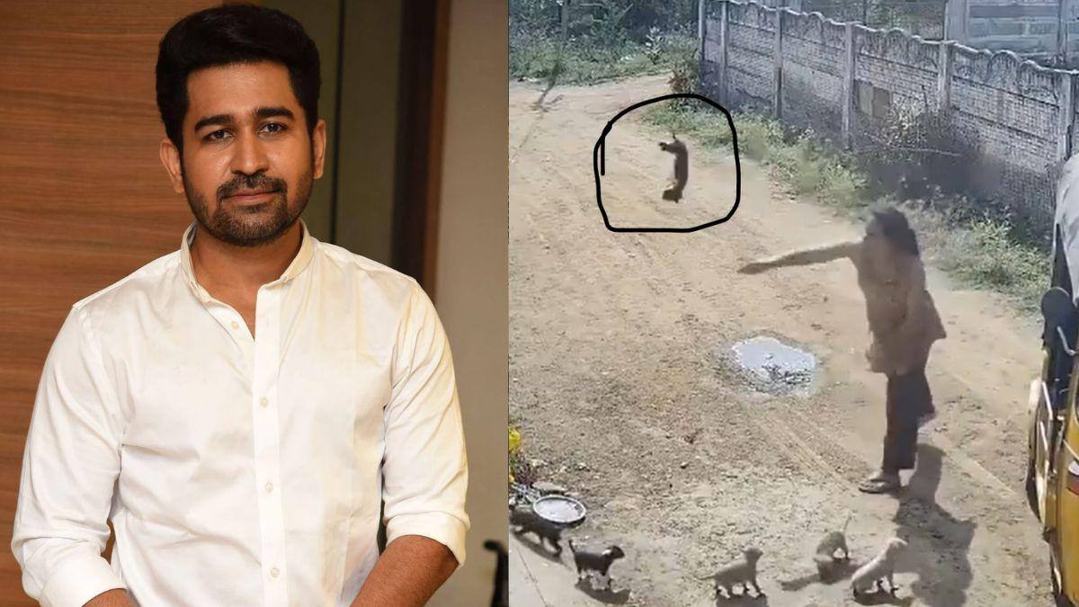 எதிர்வீட்டு பெண்ணுடன் சண்டை.. நாய்க்குட்டிகளை கொன்ற பெண்.. விஜய் ஆண்டனி கண்டனம்!