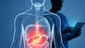 Liver  Care: পায়ের ত্বকের রং এমন হয়েছে কি ? এই লক্ষণগুলি দেখা গেলে সাবধান !