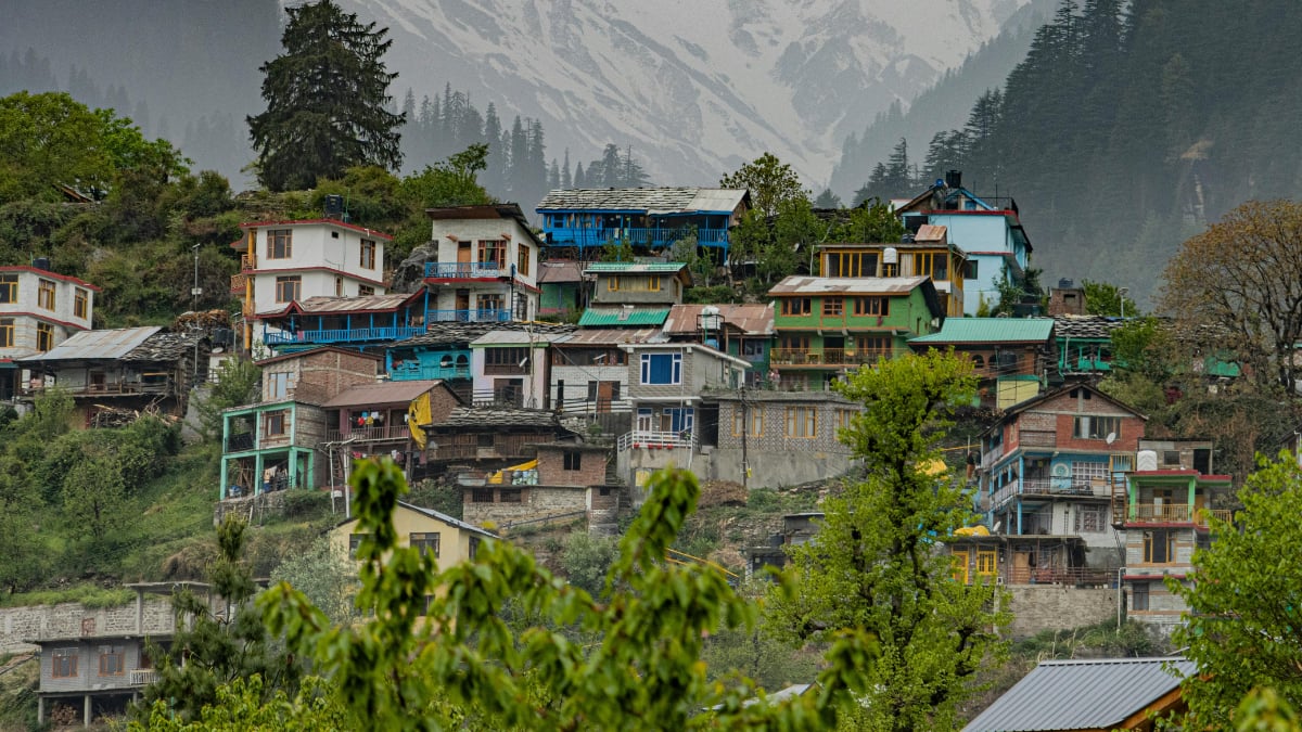 (Image Source: Canva)