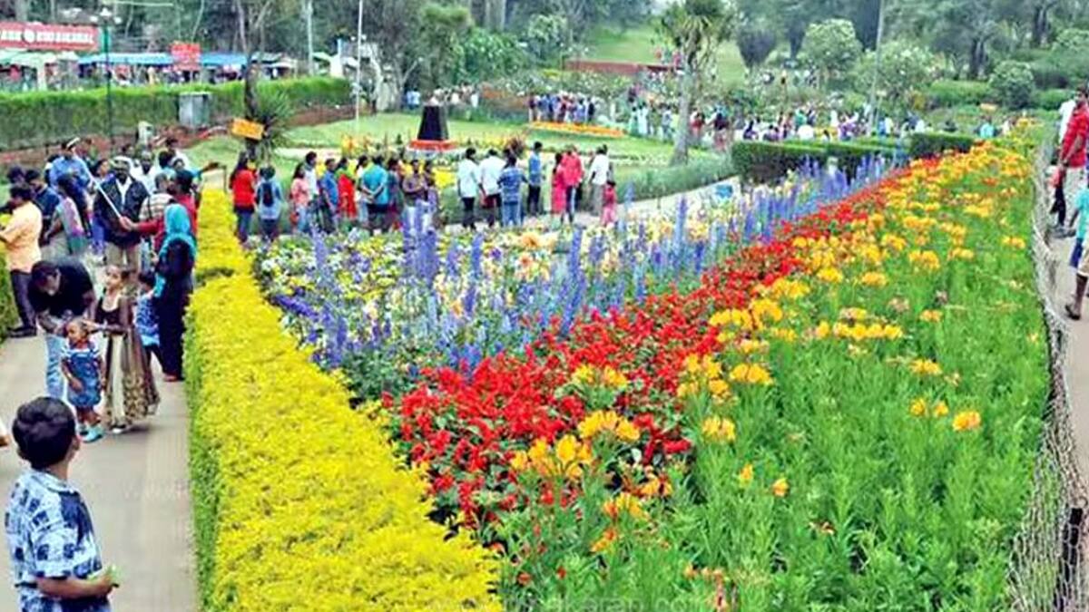 கொடைக்கானலில் முதன்முறை! மலைப்பூண்டு கண்காட்சி & பயிற்சி: அறியாத ரகசியம், மருத்துவ குணம், ஏற்றுமதி வாய்ப்புகள்!