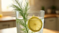 Fennel Water: રાત્રે સુતા પહેલા એક ગ્લાસ વરિયાળીનું પાણી પીવાથી થાય છે આ 5 અદભુત ફાયદા