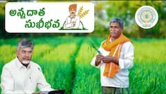 ఏపీ రైతులకు ఉగాది కానుక - 13న అన్నదాత సుఖీభవ నిధులు రూ.6వేలు జమ !