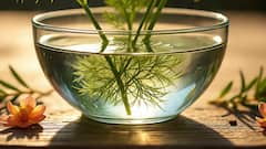 Fennel Water: રાત્રે સુતા પહેલા એક ગ્લાસ વરિયાળીનું પાણી પીવાથી થાય છે આ 5 અદભુત ફાયદા