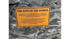 'किंग ऑफ द वर्ल्ड'! चक्क 'टायटॅनिक पोज'मध्ये डोनाल्ड ट्रम्प आणि एपस्टीनचा पुतळा प्रकटला; पुतळ्यावरील पाटीनं सुद्धा लक्ष वेधलं