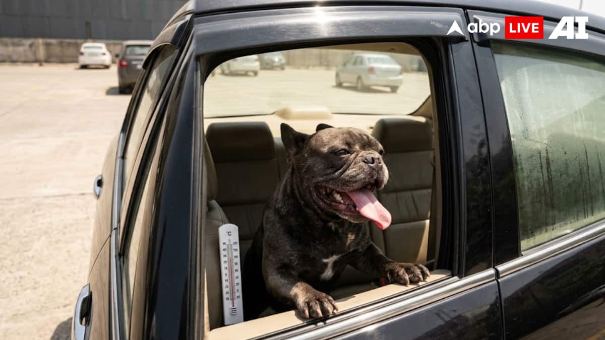 ABP Live Pet First | 6 Mistakes That Can Make Your Dog Sick In The Heat