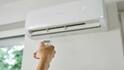 AC Tips: આખો દિવસ AC ચલાવવું યોગ્ય છે કે નહીં ? જાણો સતત કેટલા કલાક ચલાવવું જોઇએ