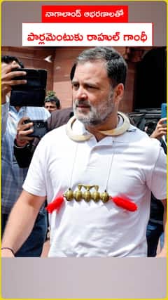 నాగాలాండ్ ఆభరణాలతో.. పార్లమెంటుకు రాహుల్ గాంధీ