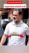 నాగాలాండ్ ఆభరణాలతో.. పార్లమెంటుకు రాహుల్ గాంధీ