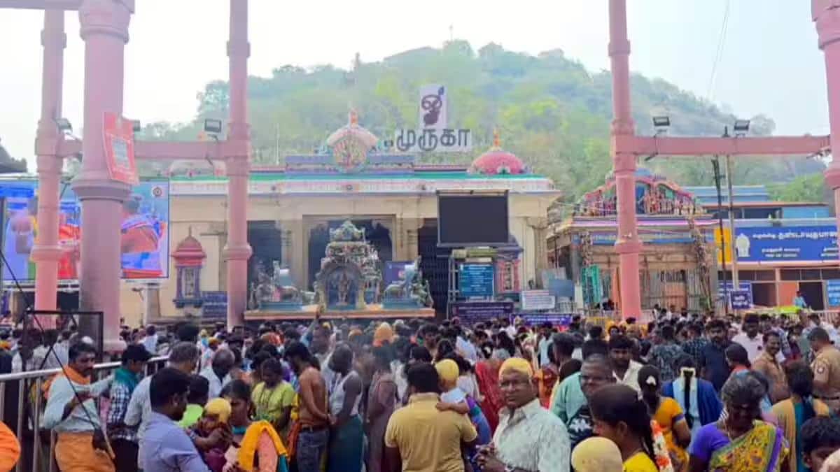 பழனி பங்குனி உத்திர திருவிழா: தேரோட்டம் எப்போது? பக்தர்களின் எதிர்பார்ப்பு! முக்கிய அறிவிப்பு!