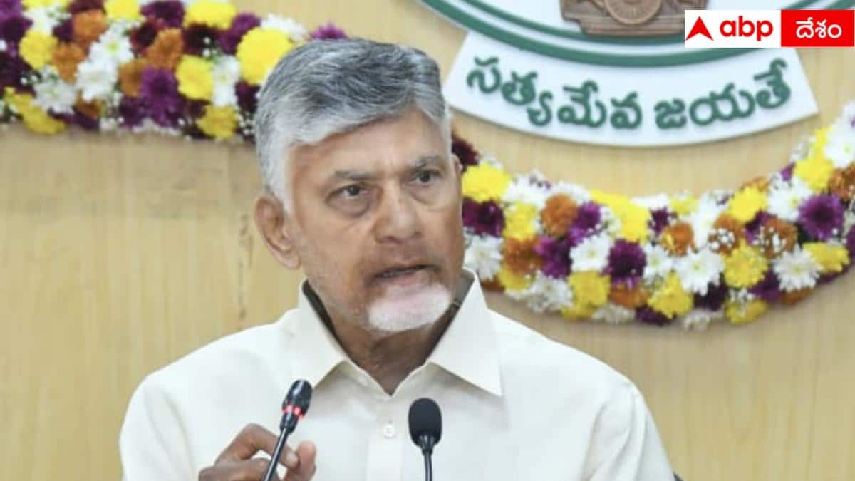 AP CM Chandrababu: నో స్టాక్ బోర్డులు కనిపించకూడదు.. ఇంధన కొరతపై టాస్క్ ఫోర్స్, కంట్రోల్ రూమ్: సీఎం చంద్రబాబు 
