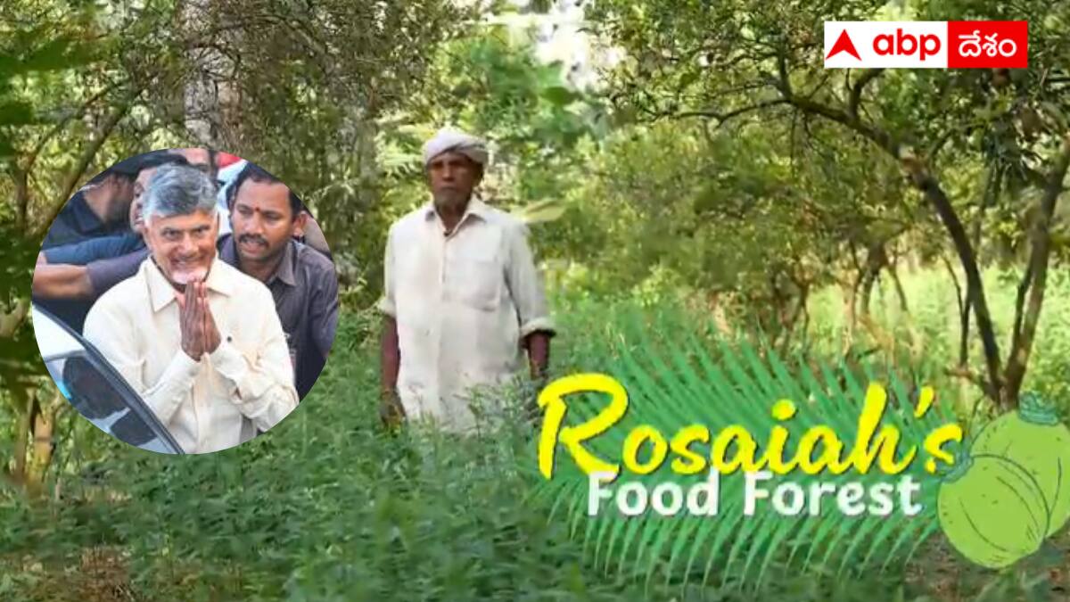 Farmer admired by CM Chandrababu: ప్రకృతి సేద్యపు ఋషి - 75 సెంట్లలో 52 పంటల అద్భుతం - చంద్రబాబు మెచ్చిన రైతు రోశయ్య
