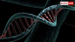 शरीर में किस वजह से बढ़ने लगता है यूरिक एसिड, इसमें कैसी होनी चाहिए डाइट