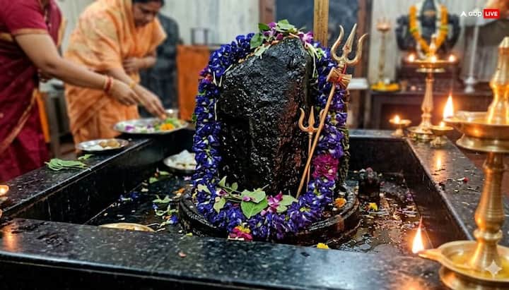 पुराना नवग्रह शनि मंदिर स्थापित है, पिंडी पर लगातार सरसों का तेल चढ़ाया जाता है, इसलिए यहां तेल अर्पण की विशेष परंपरा है. शनि दोष मुक्ति के लिए ये मंदिर बहुत प्रसिद्ध है.