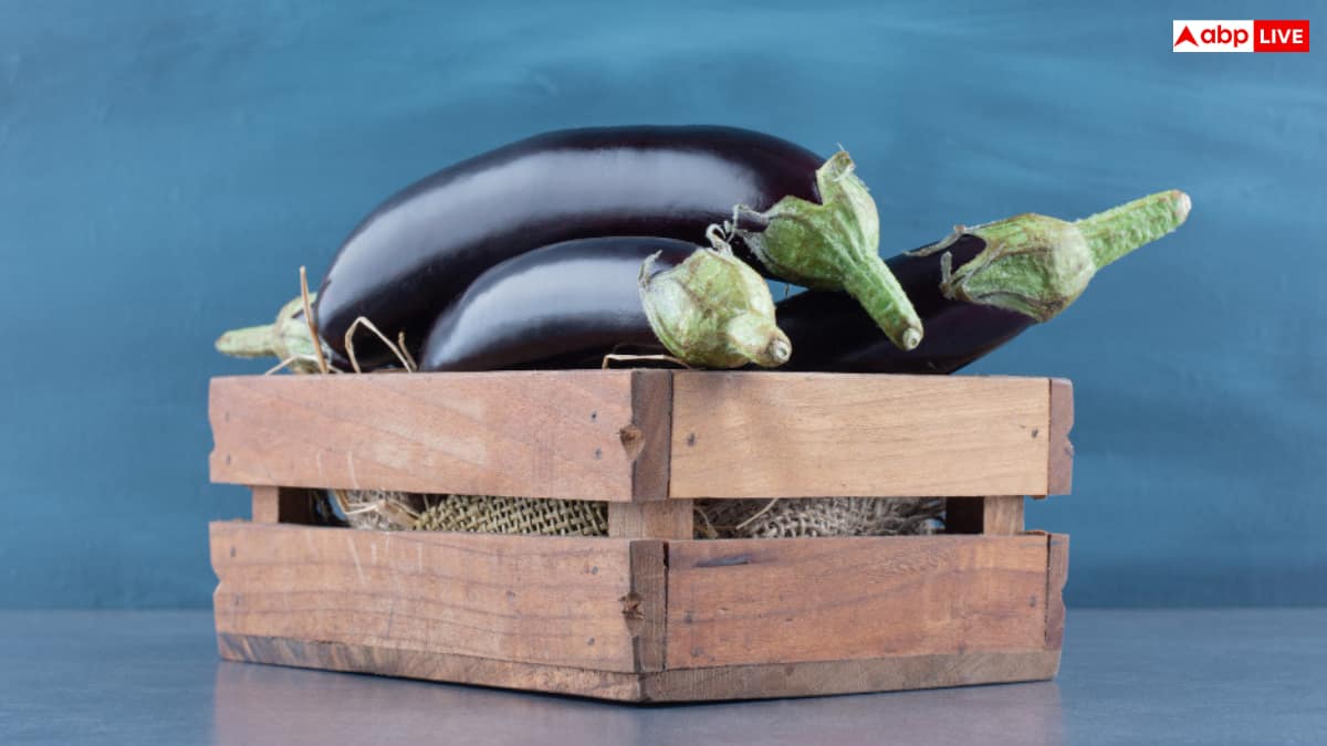 घर के गार्डन में कैसे उगाएं बैंगन, कम जगह में भी मिल सकती है बढ़िया पैदावार