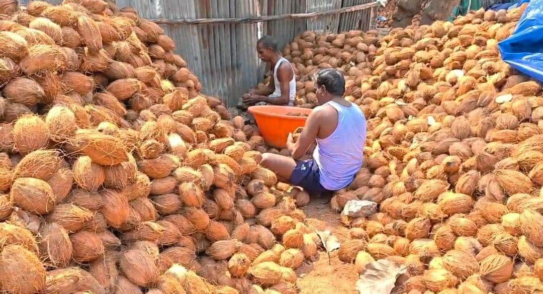 Iran War Effect On Coconut Market: కోనసీమ కొబ్బరికి యుద్ధ గండం! పోర్టుల్లో నిలిచిపోయిన కంటెయినర్లు! బోరుమంటున్న వ్యాపారులు!
