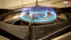 LPG History India: भारत में पहली बार LPG गैस का इस्तेमाल कब हुआ था, जानें किस शहर से हुई थी इसकी शुरुआत?