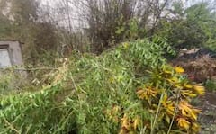 वातावरण फिरलंय... उन्हामुळे कुठं घामाच्या धारा, पण कोल्हापुरात वादळी वारा, पाऊस अन् गारवा