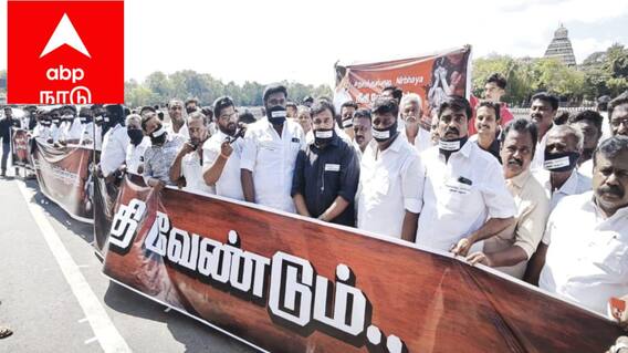 தமிழகத்தில் பெண்கள் சுதந்திரமாக நடமாட முடியவில்லை ஒரே வாரத்தில் 15 பாலியல் சம்பவங்கள் - ராஜ்சத்யன் அடுக்கடுக்கான குற்றச்சாட்டு ! தமிழகத்தில் பெண்கள் சுதந்திரமாக நடமாட முடியவில்லை ஒரே வாரத்தில் 15 பாலியல் சம்பவங்கள் - ராஜ்சத்யன் அடுக்கடுக்கான குற்றச்சாட்டு !