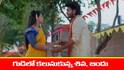 Meghasandesam Serial Today march 16th: ‘మేఘసందేశం’ సీరియల్‌: నక్షత్రను నిజం చెప్పిన అపూర్వ – భూమి గురించి ఆలోచించిన శివ  
