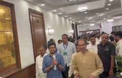 उद्धव ठाकरेंचं विधानसभा अध्यक्षांना पत्र; राहुल नार्वेकर म्हणाले, आम्ही तुम्हाला मोकळं होऊ देणार नाही