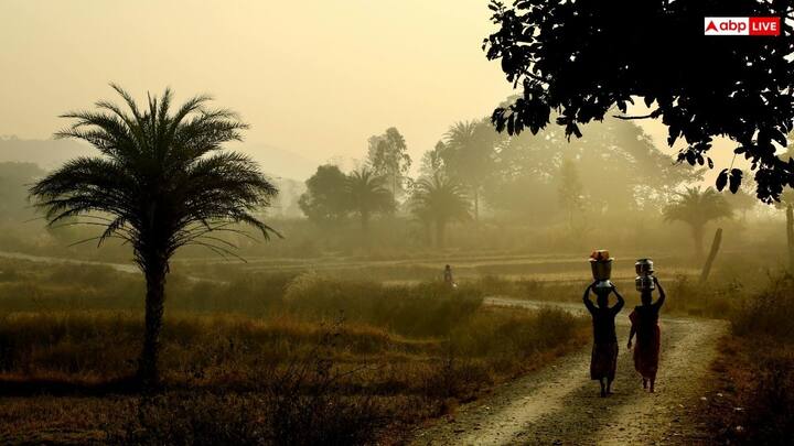 कई दक्षिणी राज्यों में मजबूत आर्थिक विकास के बावजूद ग्रामीण आबादी ज्यादा है. 2011 में कर्नाटक में 37.4 मिलियन ग्रामीण निवासी थे और 2025 तक यह संख्या 39.5 मिलियन होने का अनुमान है. 2011 में तमिलनाडु में 37.2 मिलियन ग्रामीण निवासी दर्ज किए गए और आंध्र प्रदेश में 34.9 मिलियन.