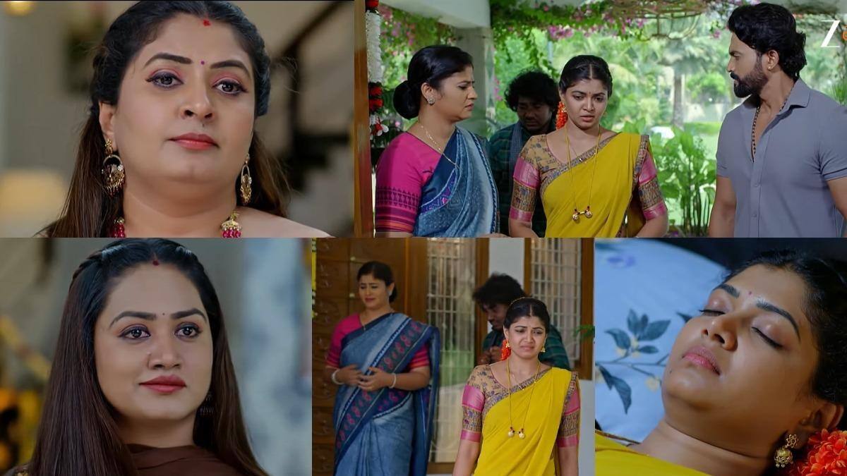 kalavari kodalu kanaka mahalakshmi serial today march 16th: కలవారి కోడలు కనక మహాలక్ష్మీ: లక్ష్మీ ప్రెగ్నెంట్ అని డాక్టర్ ఇంట్లో చెప్పేస్తుందా! లక్ష్మీని ఈడ్చుకెళ్లిన పద్మాక్షి!